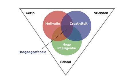 hoogbegaafden herkennen elkaar|Hoogbegaafdheid 